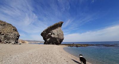 Sandee - Playa De Los Muertos