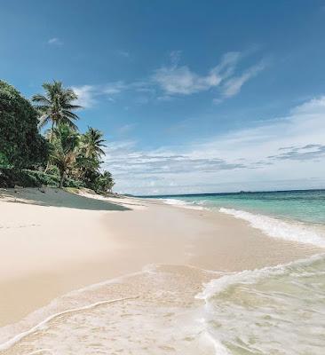 Sandee - Castaway Island, Fiji