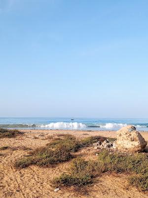 Sandee - Shell Cemetery Beach