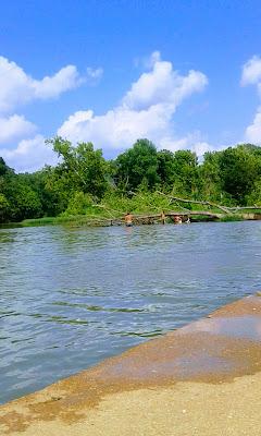 Sandee - Buford Beach/Hardy