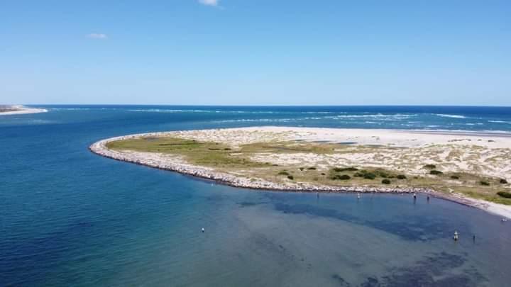 Sandee Oregon Inlet