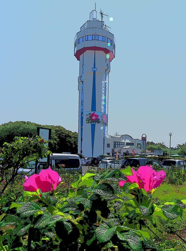 Sandee Aomatsuka Coast Photo