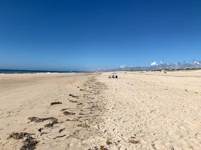 Sandee - Praia Da Gafanha Da Boa Hora