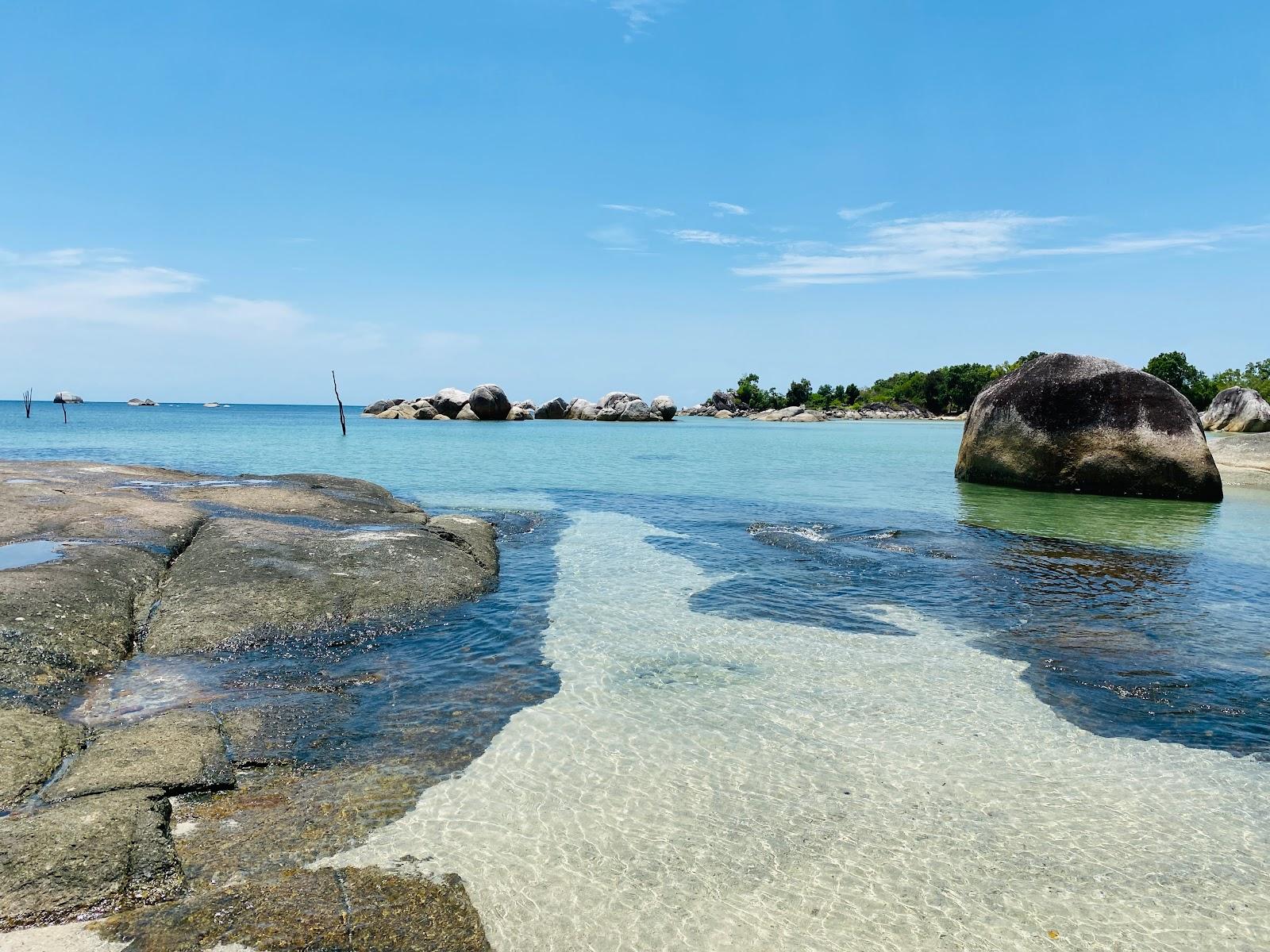 Sandee Tanjung Tinggi Beach