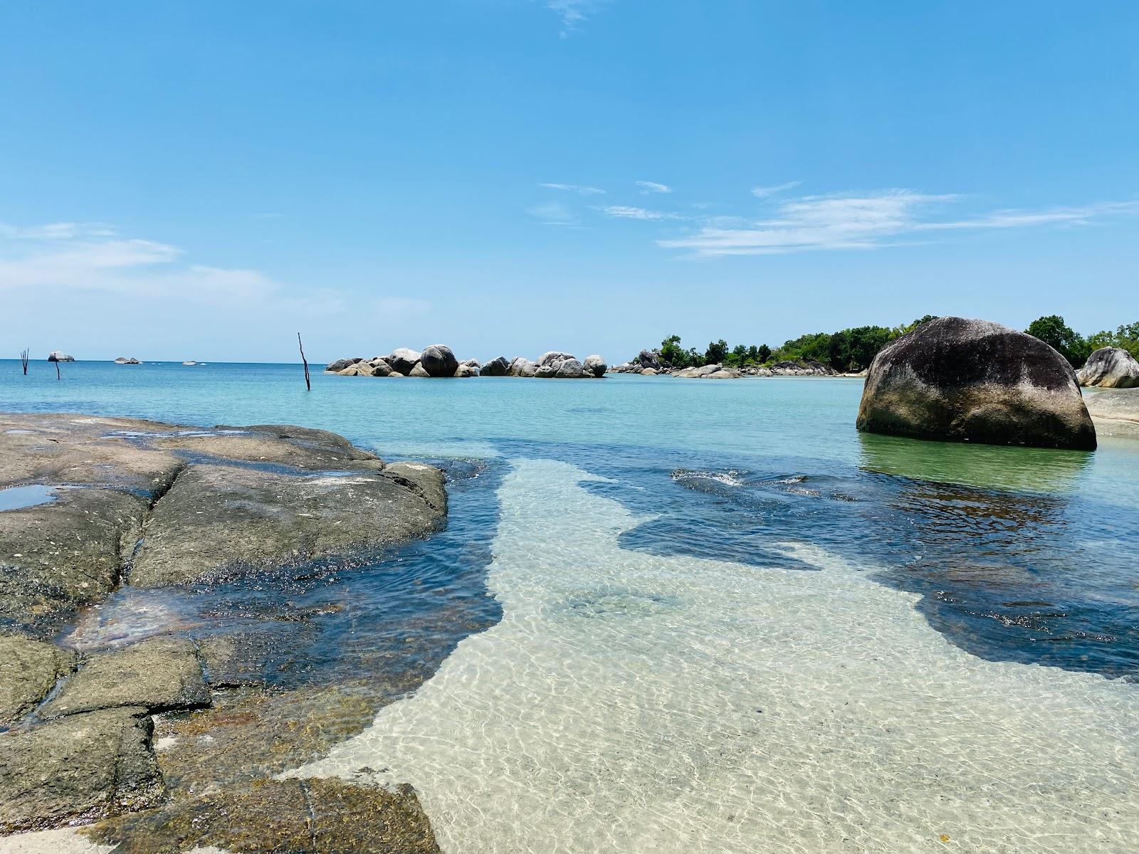 Sandee Tanjung Tinggi Beach Photo