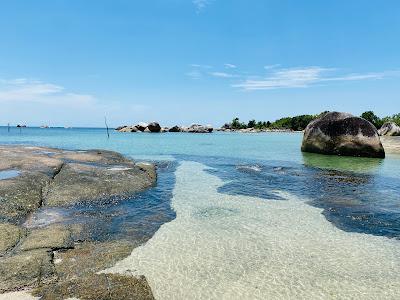 Sandee - Tanjung Tinggi Beach