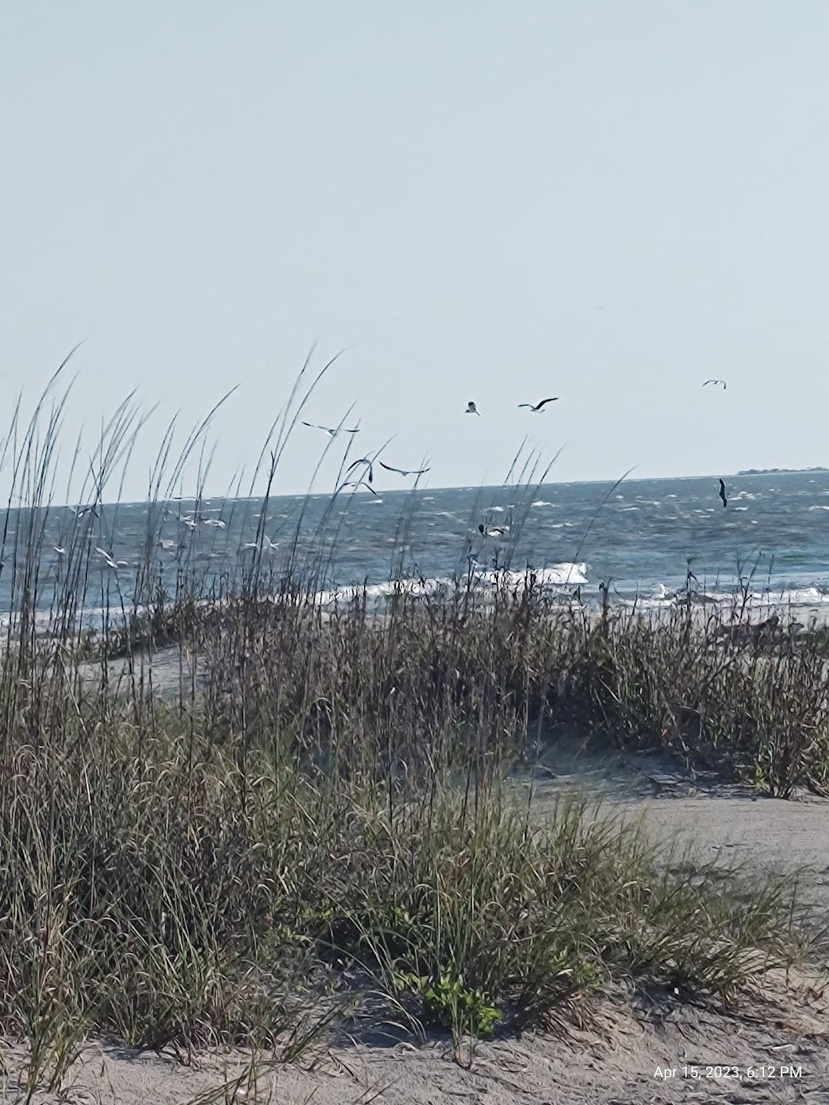 Sandee - Folly Beach County Park