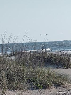 Sandee - Folly Beach County Park