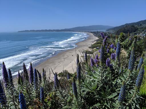 Sandee - Stinson Beach