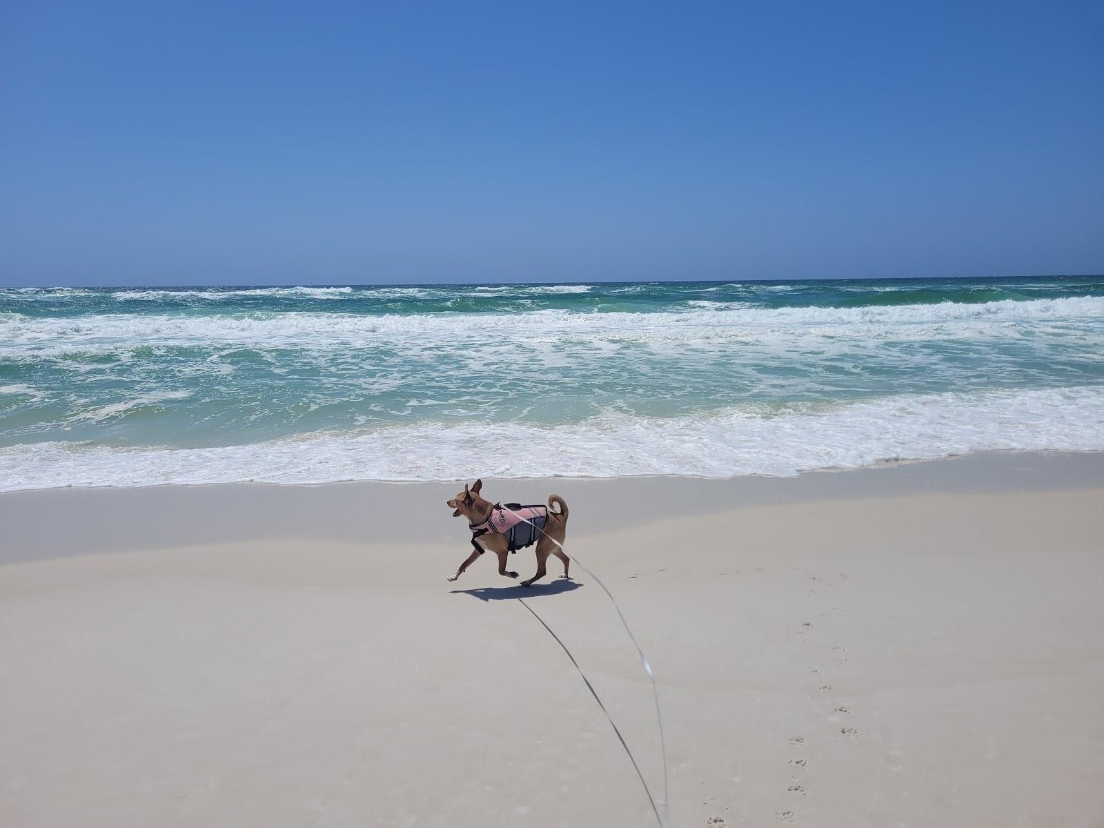 Sandee Pensacola Dog Beach East Photo