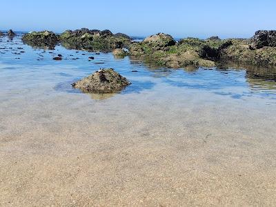 Sandee - Praia Da Salgueira