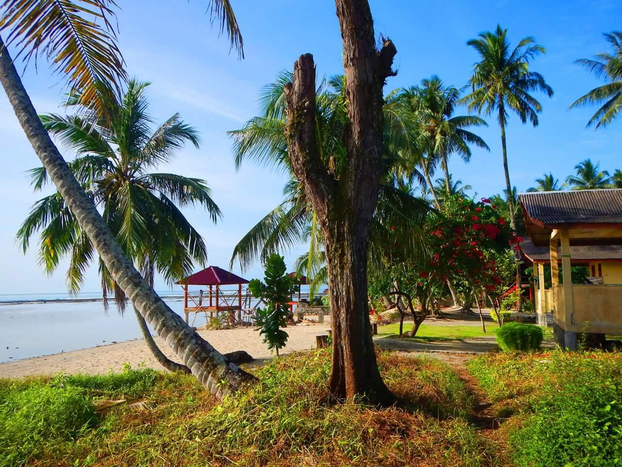 Sandee - Sorakhe Beach