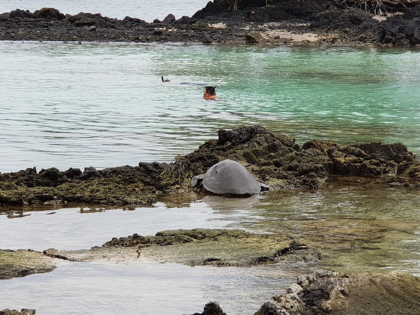 Sandee - Carlsmith Beach Park