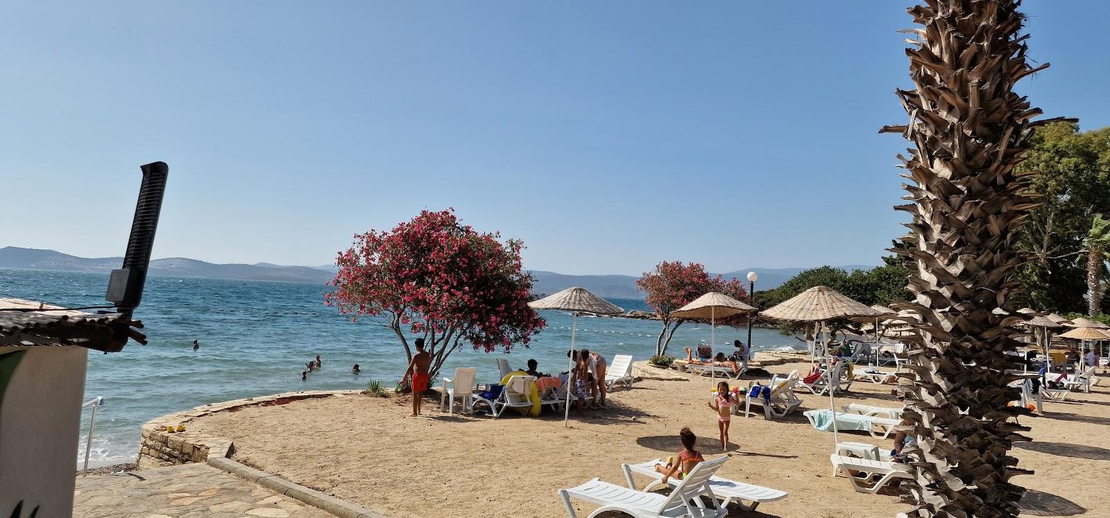 Sandee Oba Sitesi Plaji