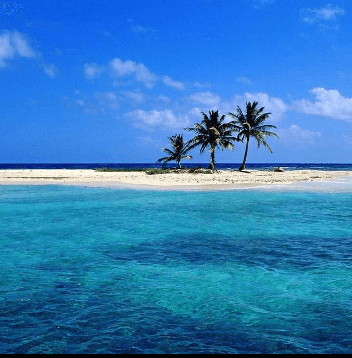 Sandee Sergeants Cay