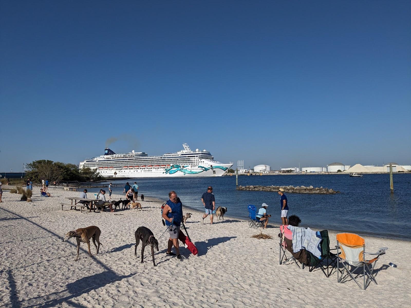 Sandee - Davis Island Dog Beach