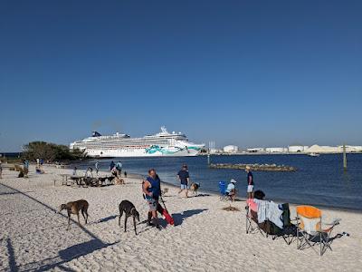 Sandee - Davis Island Dog Beach