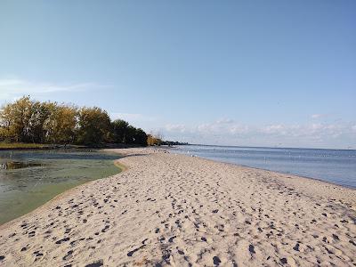 Sandee - Bay City State Recreation Area