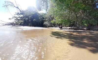 Sandee - L'Eau Michel Beach