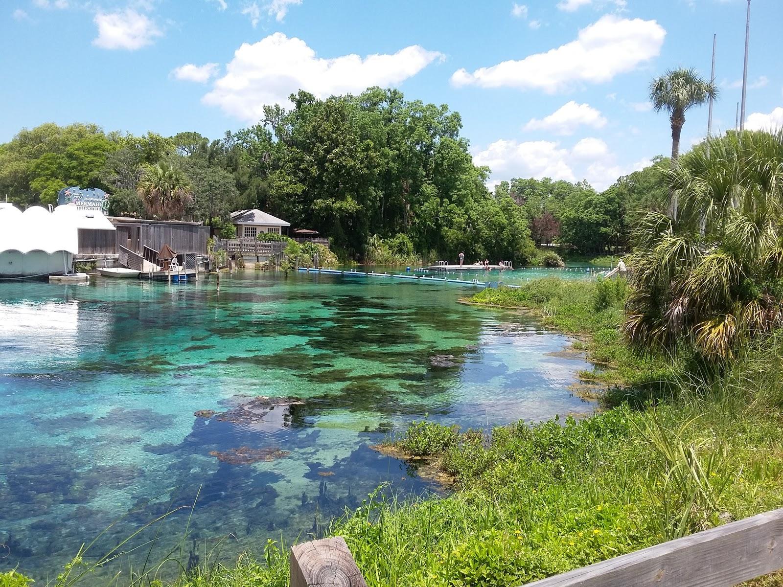 Sandee - Weeki Wachee Spring