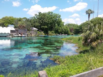 Sandee - Weeki Wachee Spring