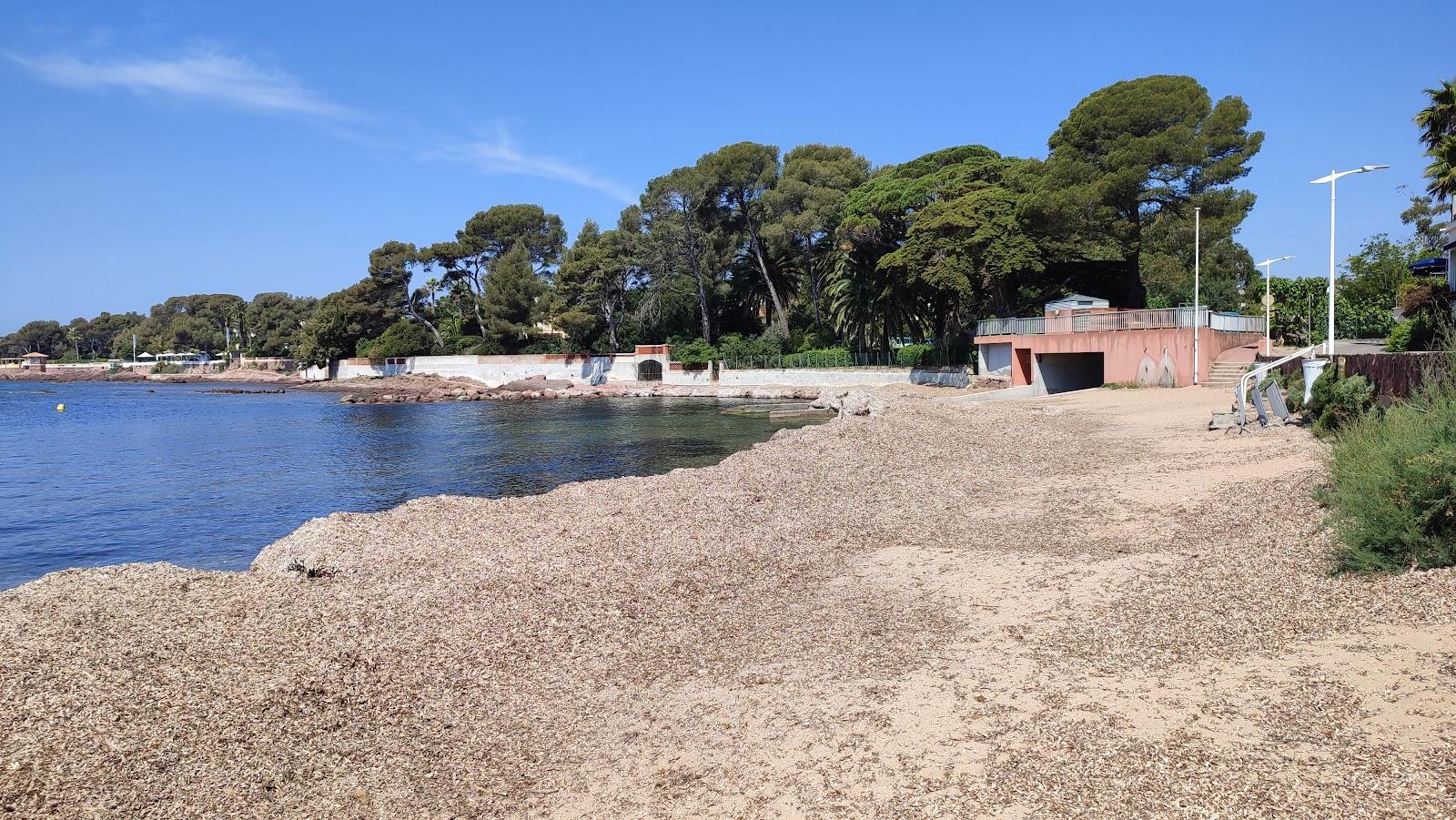 Sandee Plage D'Arene Grosse Photo