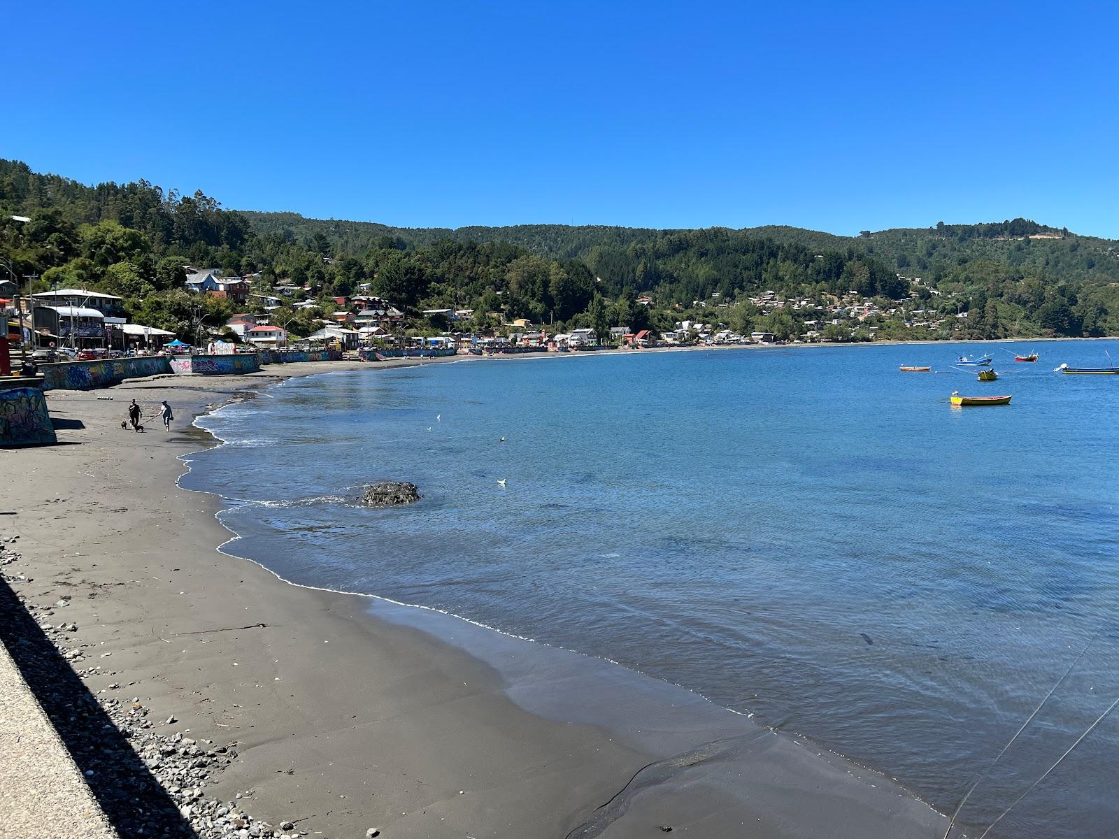 Sandee Caleta Los Molinos