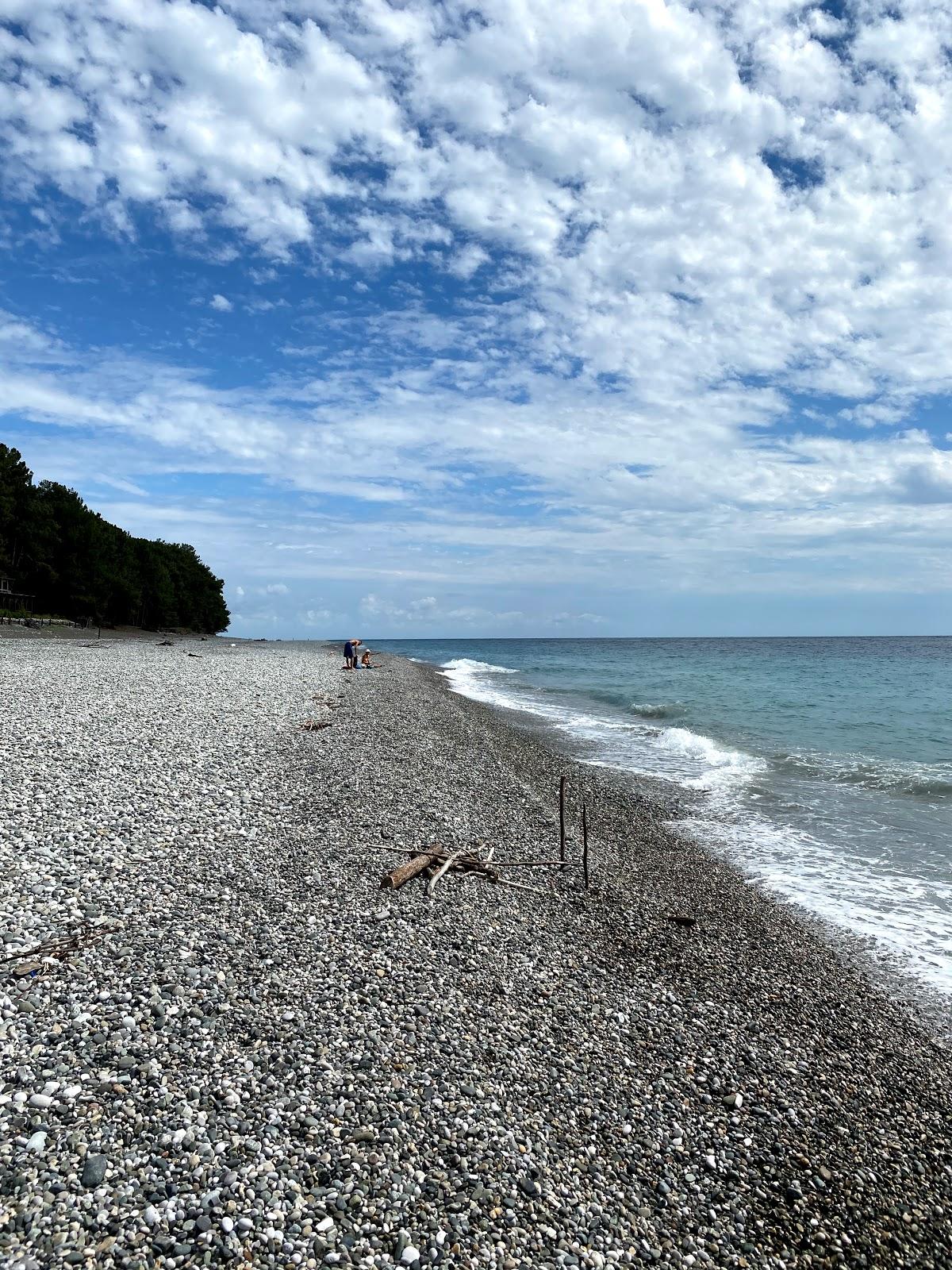 Sandee Bichvinta Beach Photo