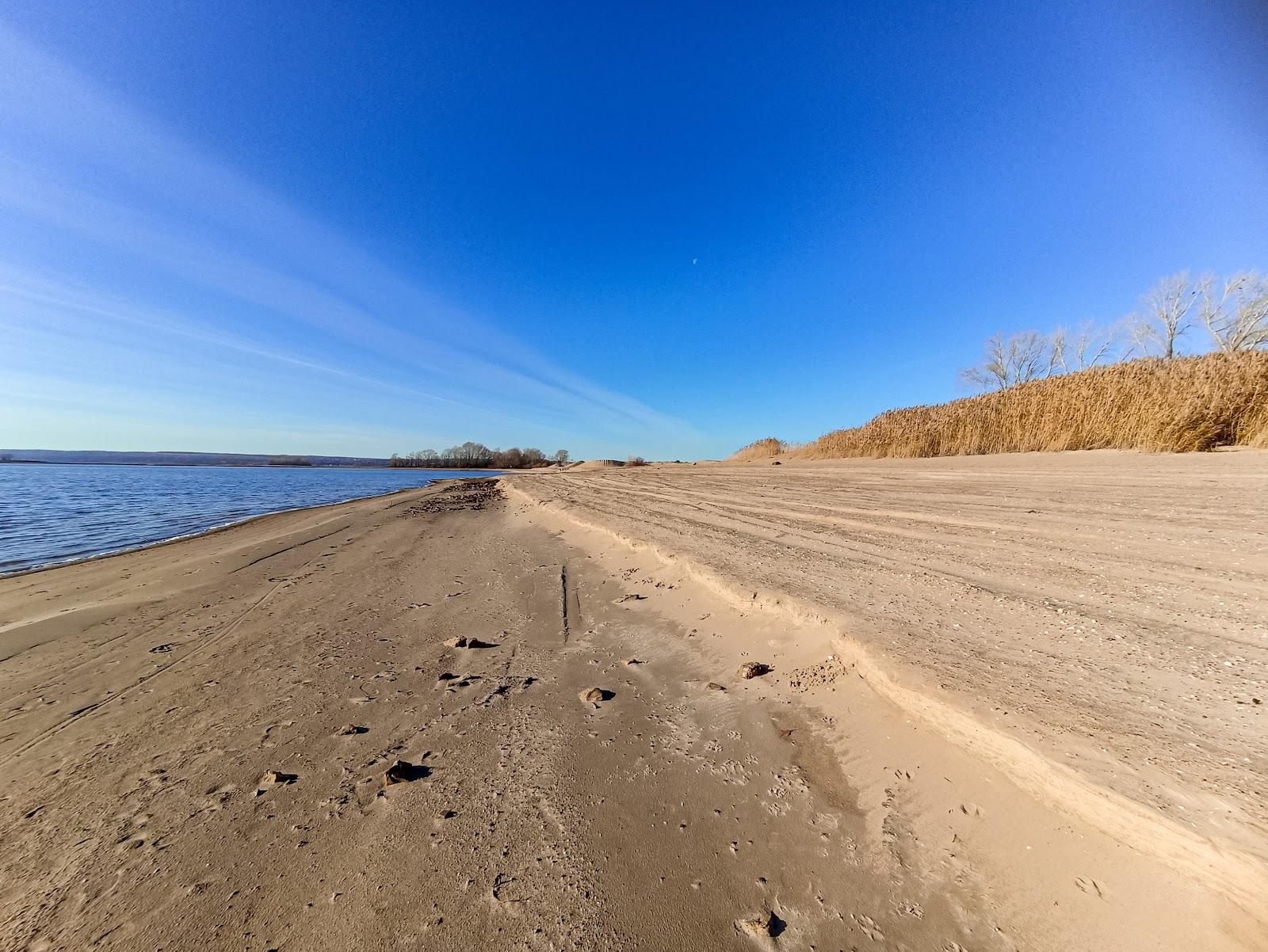 Sandee Locomotive Beach