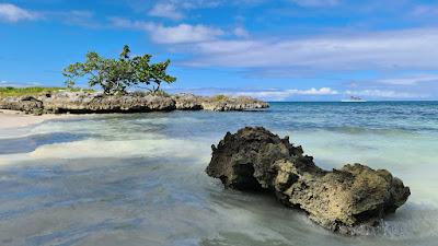 Sandee - Playa Calabacita