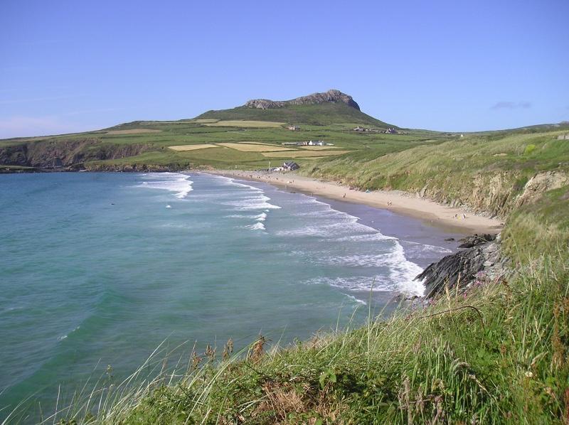 Sandee Whitesands Bay Beach Photo