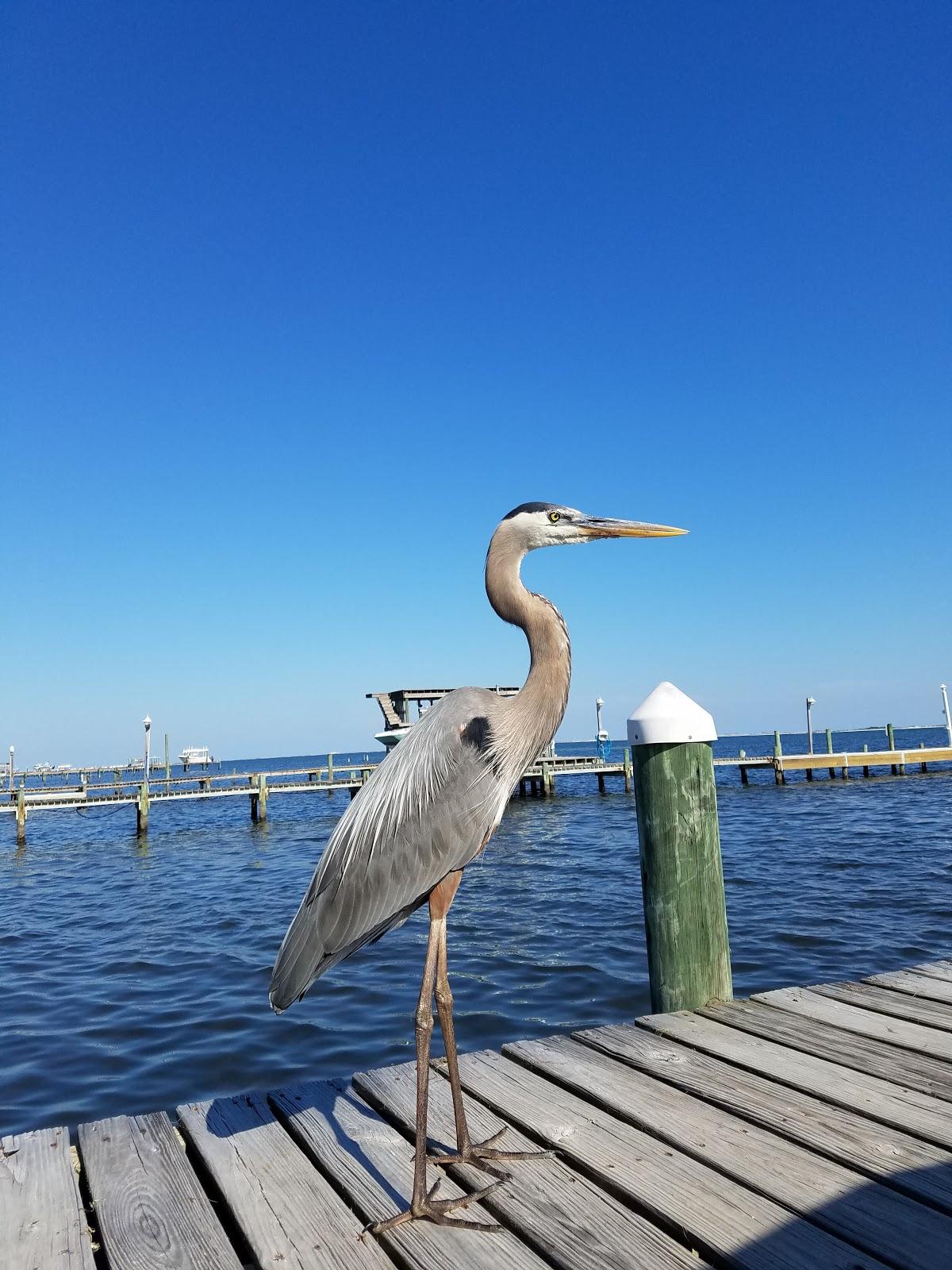 Sandee - Woodlawn Beach