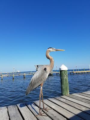 Sandee - Woodlawn Beach