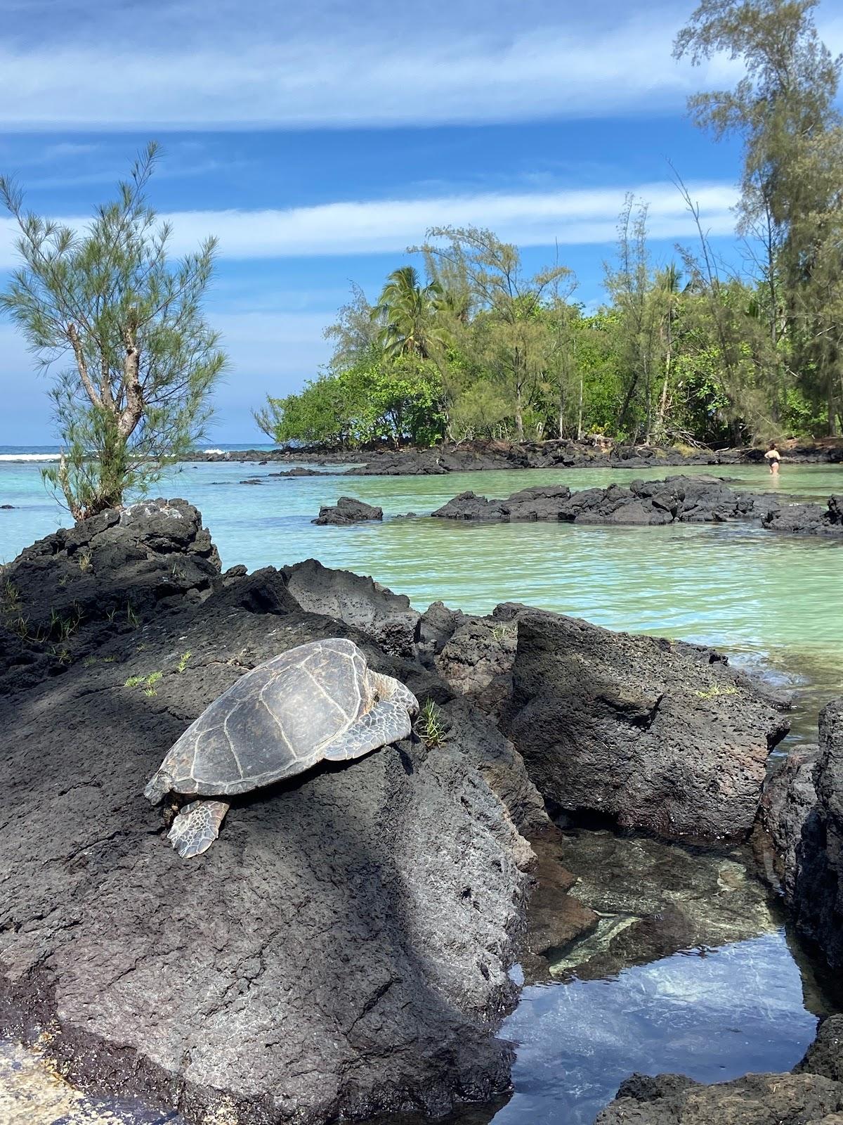 Sandee Richardson Beach Photo