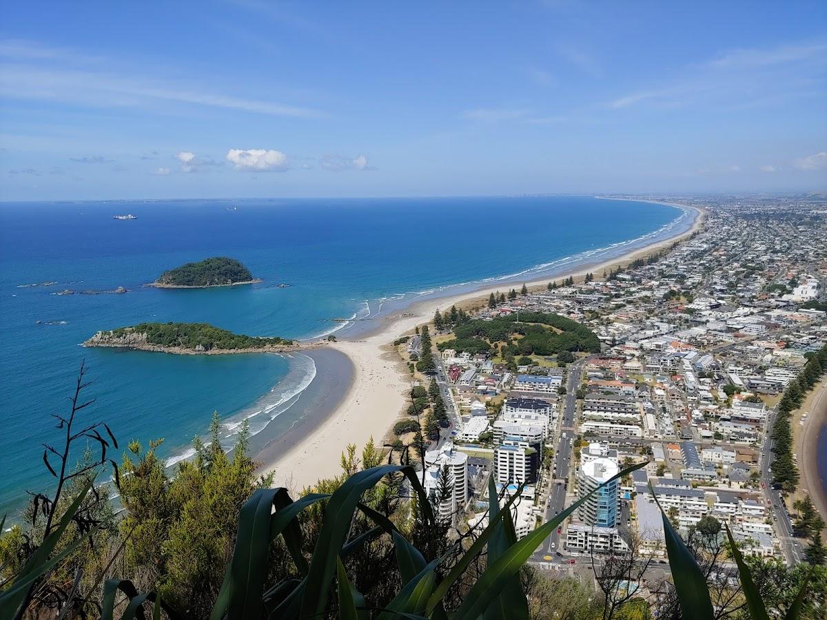 Sandee Bay Of Plenty Photo