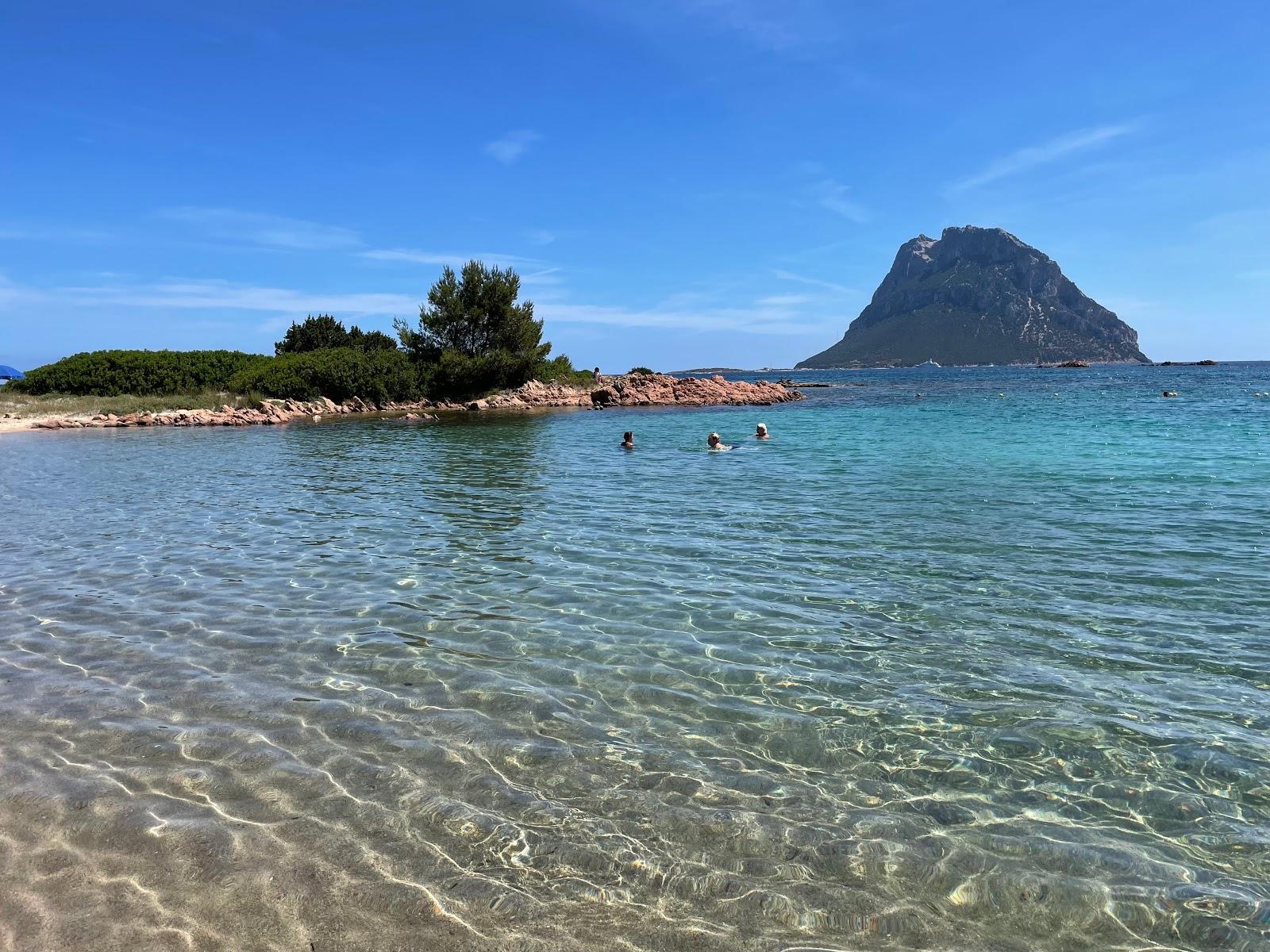 Sandee Spiaggia Di Punta Don Diego Photo