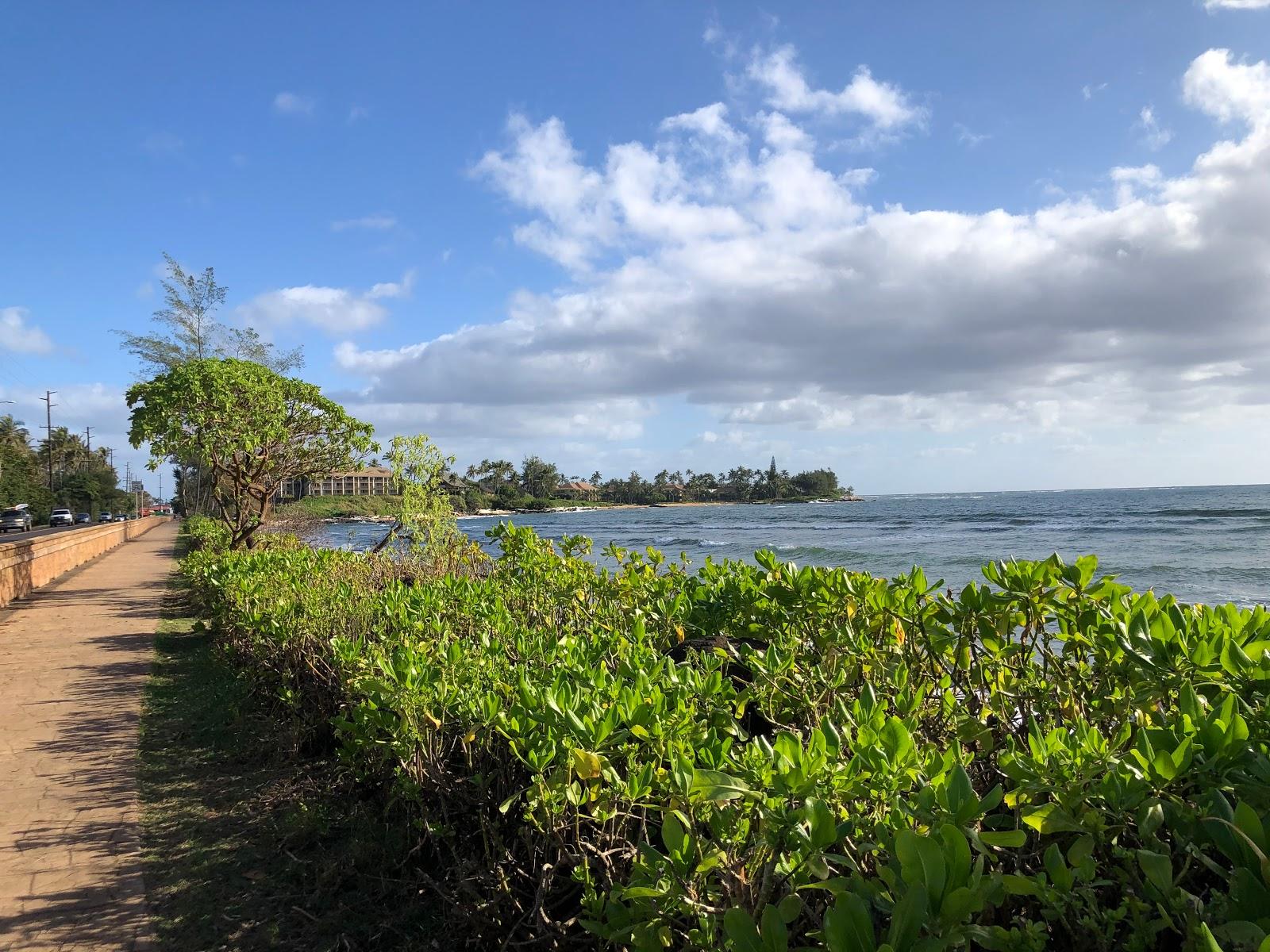 Sandee - Wailua Beach