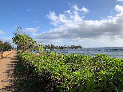 Sandee - Wailua Beach