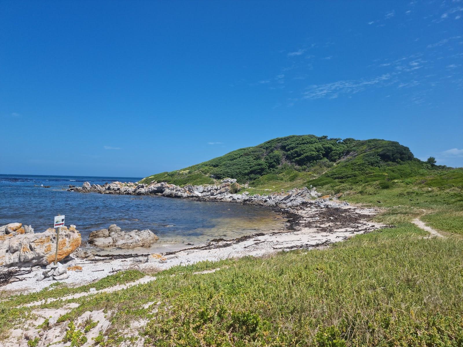 Sandee Betty's Bay Main Beach Photo