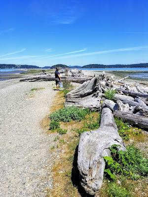 Sandee - Ala Spit County Park