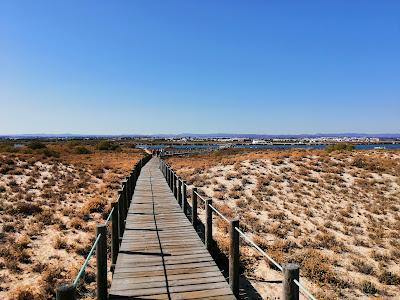 Sandee - Praia Da Terra Estreita