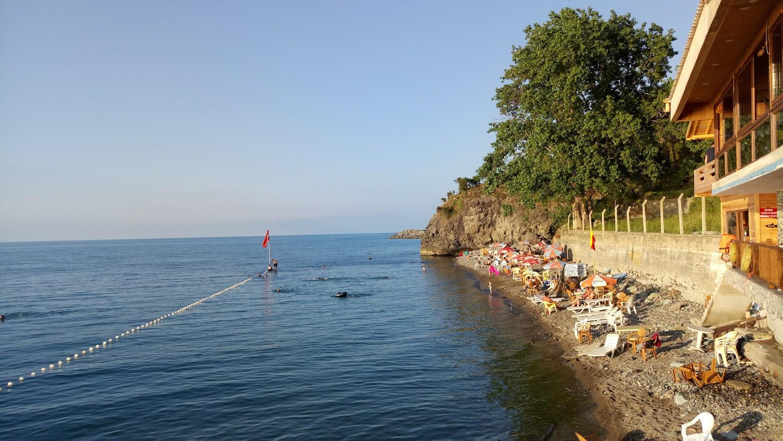 Sandee Urcan Balık Restoran Plaji