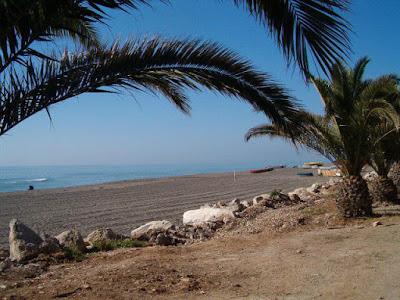 Sandee - Playa Del Benajarafe