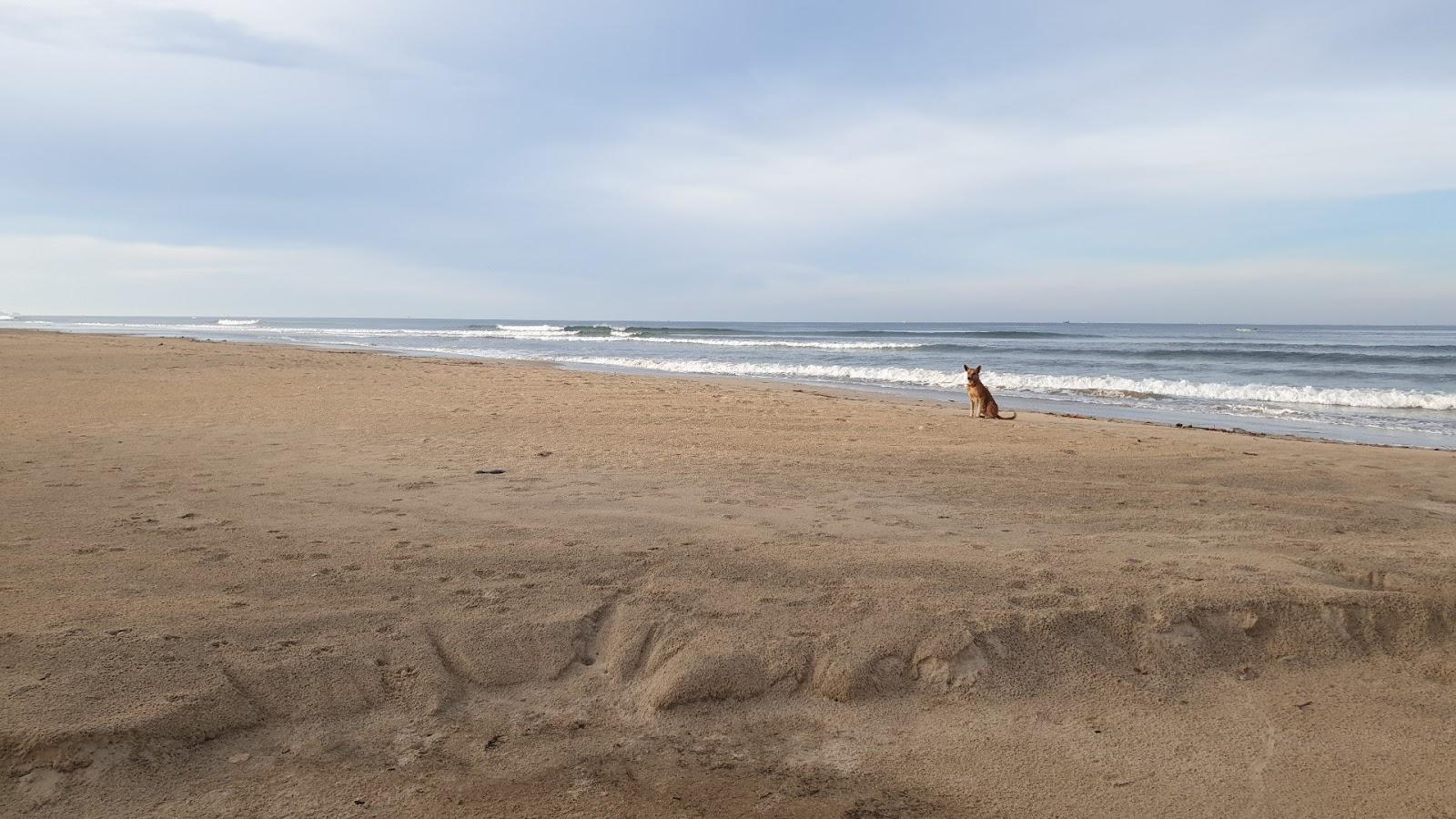 Sandee Alvekodi Beach