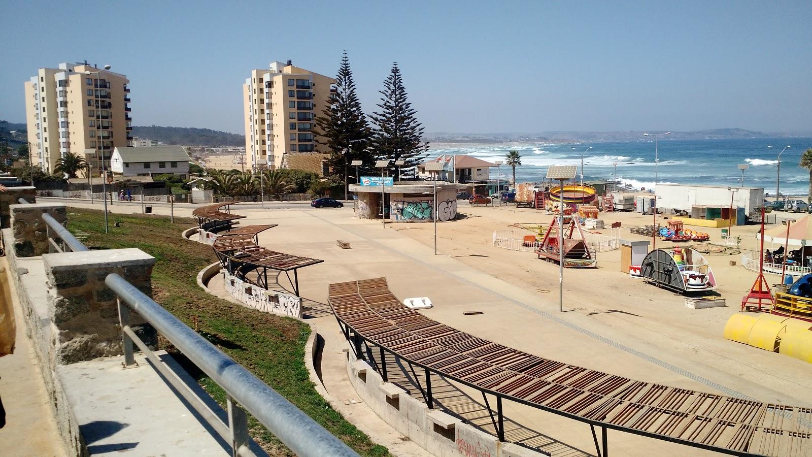 Sandee Playa 7 Reales