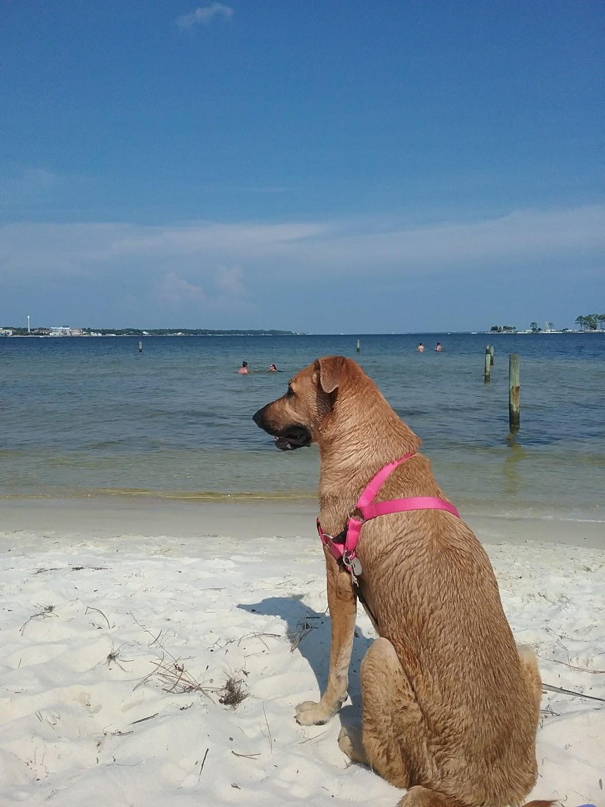 Sandee - Garniers Beach Park