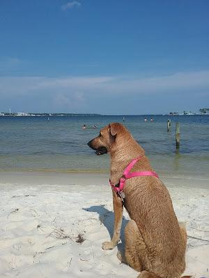 Sandee - Garniers Beach Park