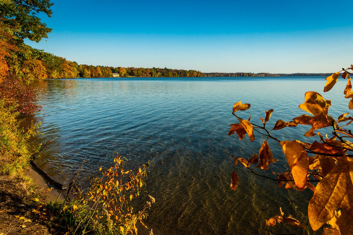 Sandee - Interlochen State Park