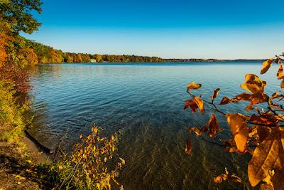 Sandee - Interlochen State Park