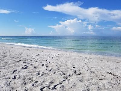 Sandee - Seahorse Shore Beach